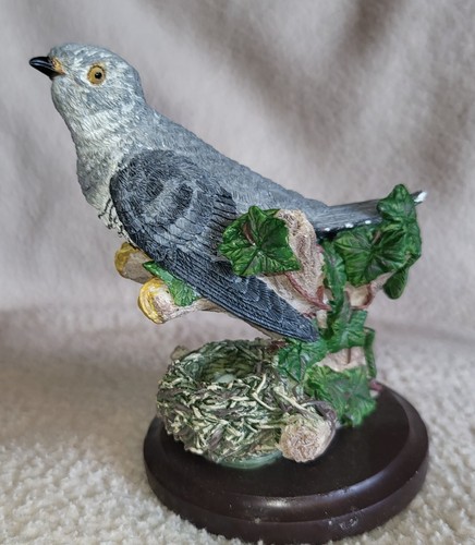 The country bird - bird, collection