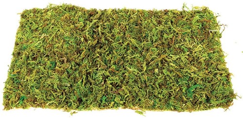 Komodo natural moss mat - komodo,
