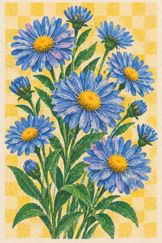 Aster flower risograph - 6.,