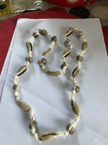 Super natural sea snail - natural,