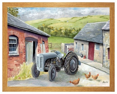Ferguson te20 little - ferguson,