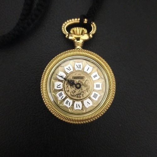 Rare mentor gold - gold, manual