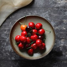 Food Craft Lifelike Faux