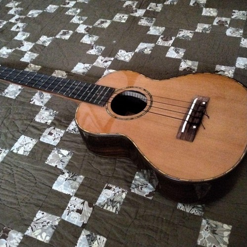 Tenor ukulele with case - with,