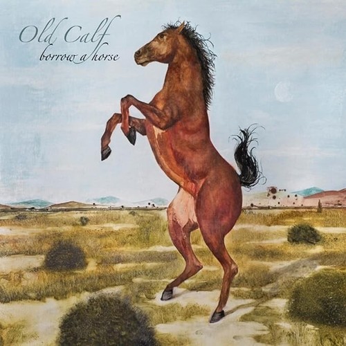 Old calf borrow - old, horse