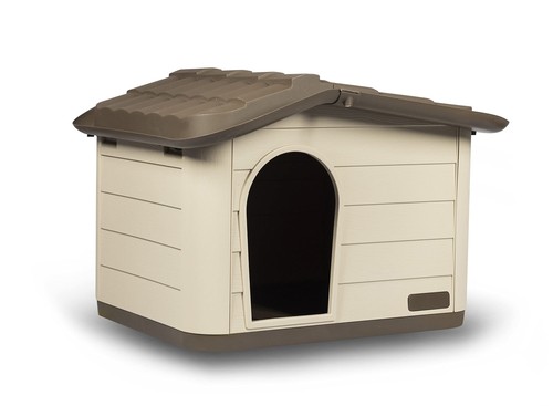 Rosewood outdoor cat dog - cat, and