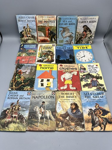 Ladybird book bundle - book,