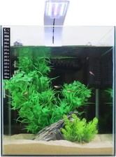 Swell UK | Cube Fish Tank |