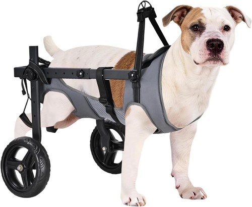 Size dog wheelchair for - m/l,