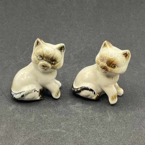Mid century siamese kitten - century,