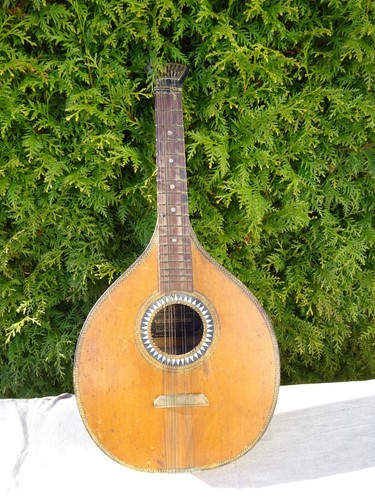 Forest zither böhm - forest, c.