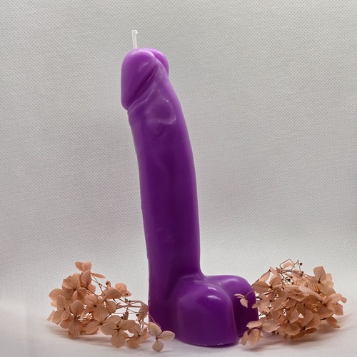 Funny christmas penis willy - christmas,