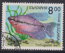 Bulgaria 1993 Pearl Gourami 8L Fine Used SG 3914 VGC