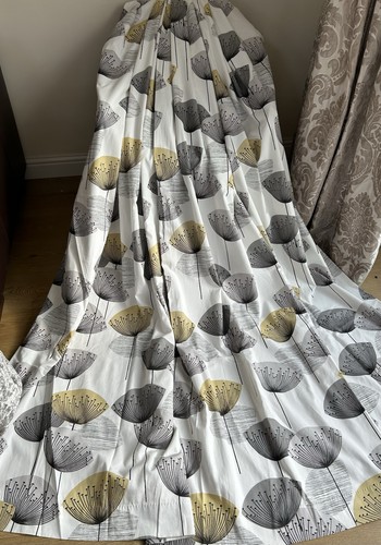 Stunning sanderson dandelion - sanderson,
