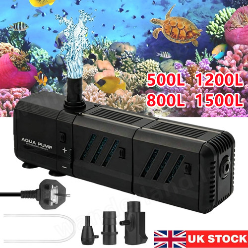 Aquarium fish tank - in,