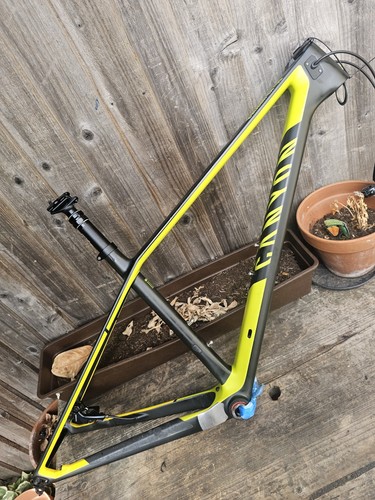 Canyon exceed medium - exceed, cf