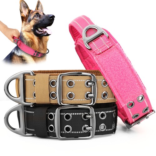 Dog collar with - dog,