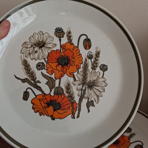 Set dinner plates j g - dinner, j&g