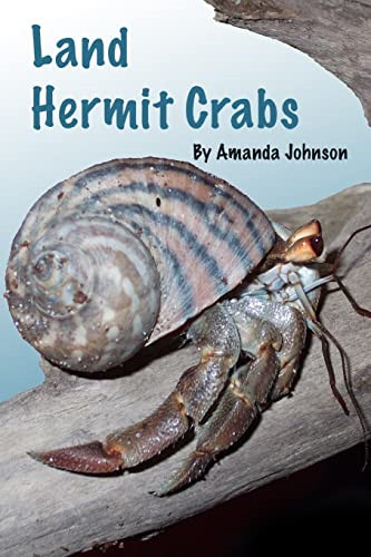 Land hermit crabs - crabs,