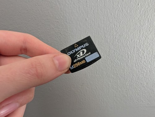 Olympus 256mb picture card - picture,