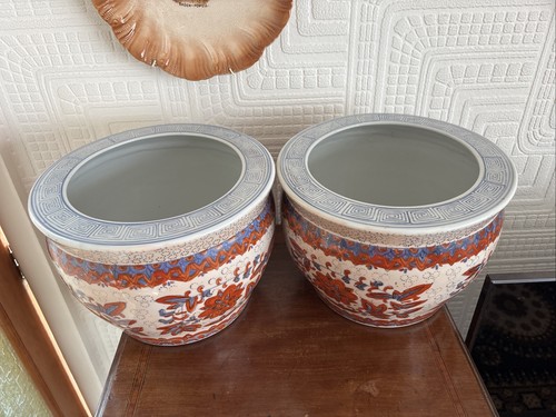 Beautiful pair oriental - of,
