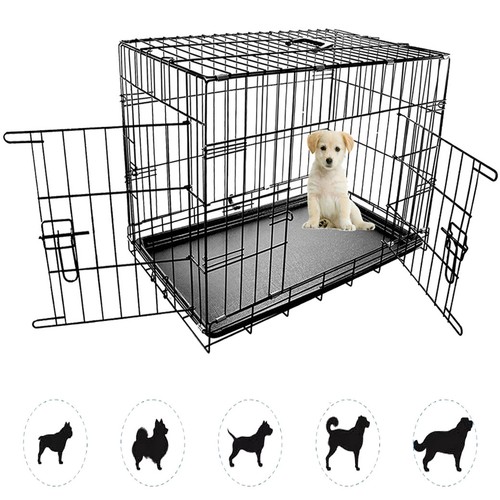 Dog pet training - pet,