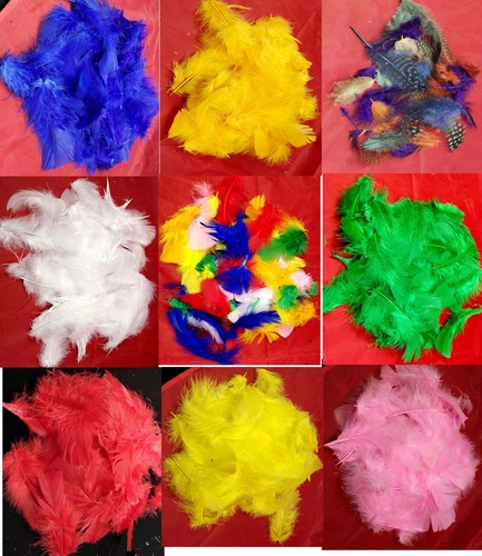 Feathers grams various - grams,