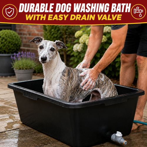 Dog pet cleaning - dog,
