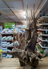 Large Corbo Root Aquarium Bogwood Vivarium Root Driftwood Catfish Cave