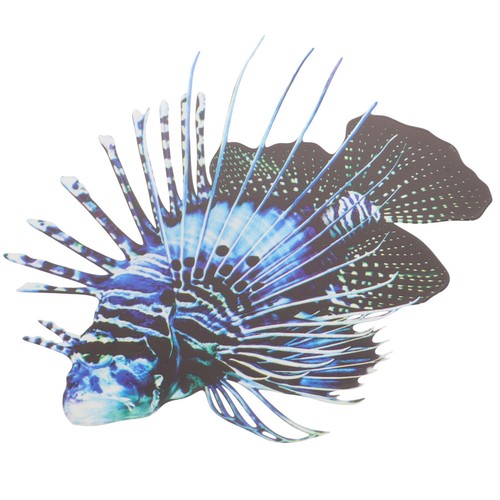 Aquarium fish wall - wall, hanging