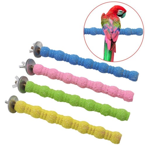1xtrimming perch beak - and, claw