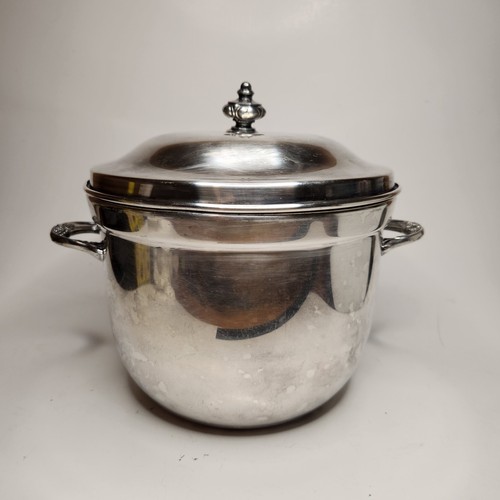 Ice bucket plastic insert - bucket,