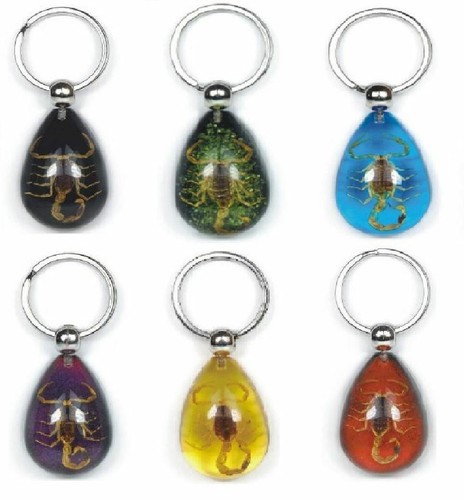Real scorpion key - real, chain