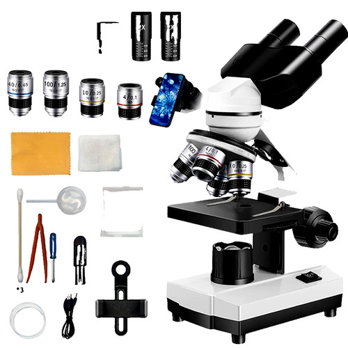 Binocular compound microscope - binocular,