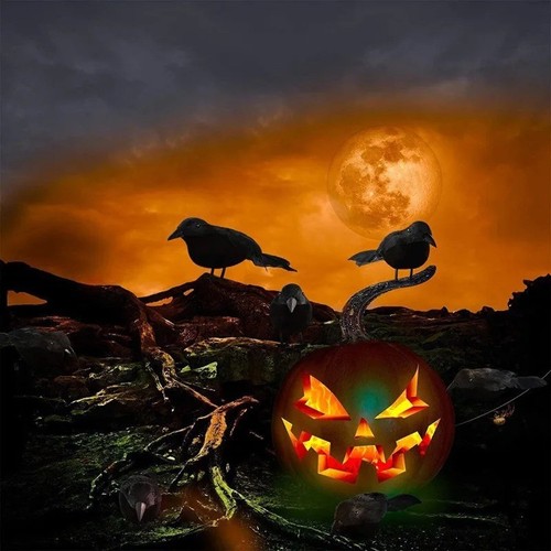 Realistic black crow - black, halloween