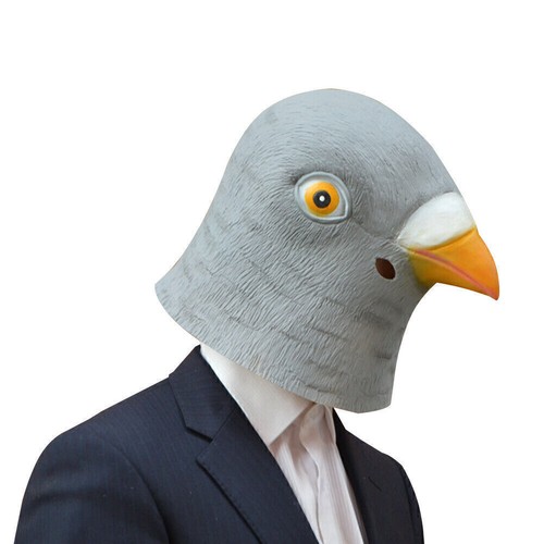 Pigeon head mask creepy animal - pigeon,