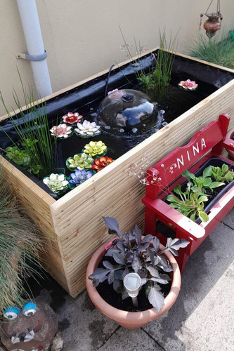 Raised garden pond wooden - pond,