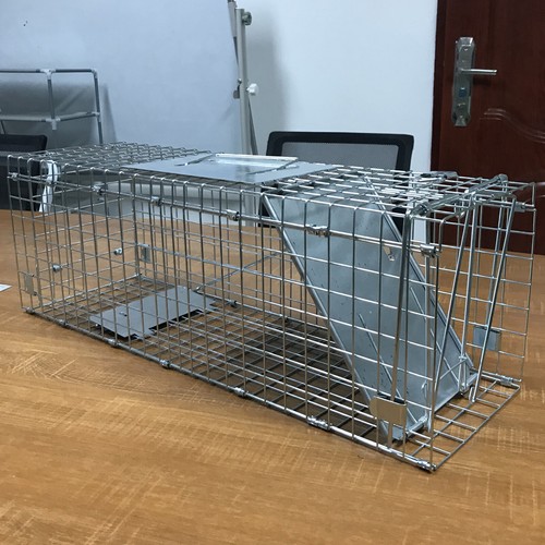 Squirrel trap heavy - trap,
