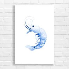 Aqua Blue Shrimp Canvas Print Large Picture Wall Art
