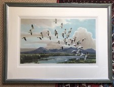 SIR PETER SCOTT- A Signed Ltd