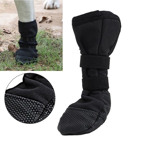 Anti lick dog - dog, protection