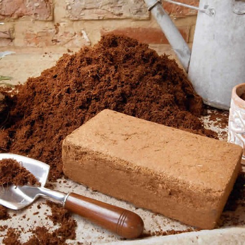 Coir moisture block - moisture, for