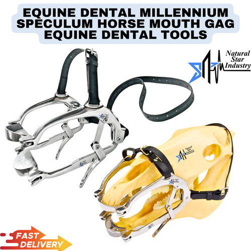 Equine dental millennium - dental,