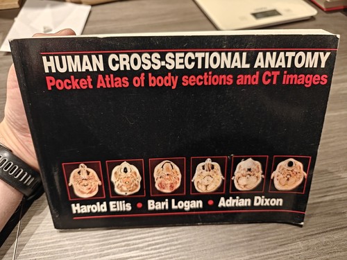 Human cross sectional anatomy - cross-sectional,