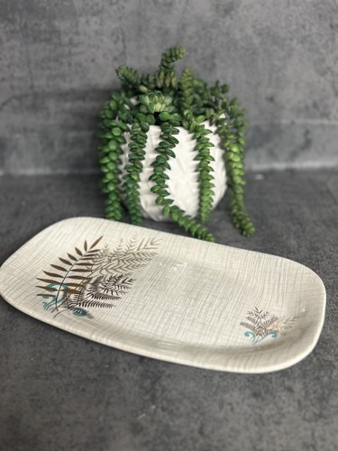 Meakin rock fern sol meat - j, g