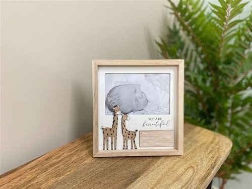 Picture frame photo - frame, frames