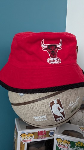 Chicago bulls fandom windy - bulls,