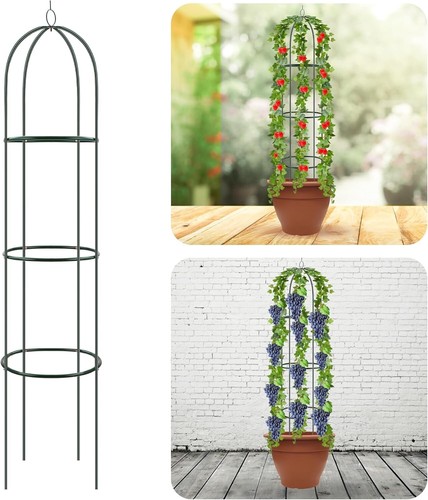 Garden obelisk trellis - garden,