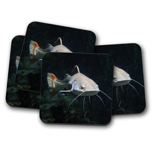 Set beautiful redtail - set,