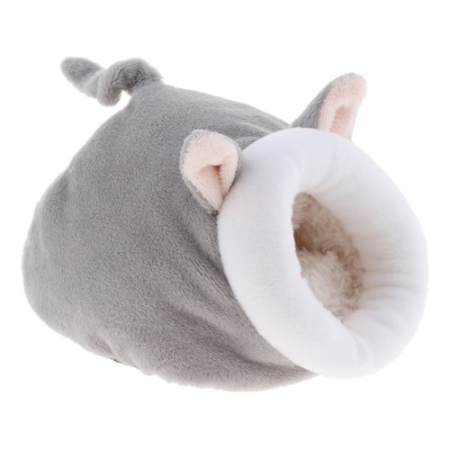 Chinchilla guinea pig ferret - guinea,